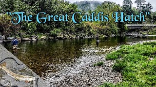 Catskills Fly Fishing quotThe Beaver Killquot  Part 2 [upl. by Euhc332]