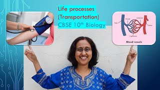 LifeProcessesTransportationBloodPressureArteryVeinCapillaryCBSE10thBiology [upl. by Christis412]