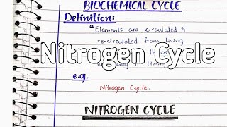 Nitrogen cycle  Nitrogen fixation [upl. by Sari817]