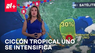 Clima hoy México 19 de Junio de 2024 Ciclón tropical uno toca Cabo Rojo Veracruz  Las Noticias [upl. by Daisi]