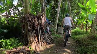 Mount Batur to Ubud MTB tour [upl. by Martha]