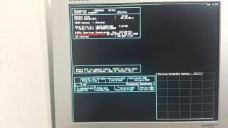 Speedsys Benchmark  AMD 386SX amp IIT 3C87SX33 33MHz [upl. by Pippa939]