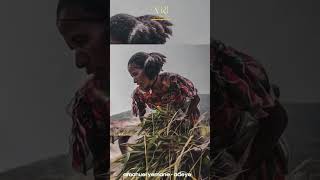 Amanuel Yemane  Adilatni  አማኑኤል የማን  ዓዲላትኒ  New Ethiopian Music 2021 [upl. by Leake]