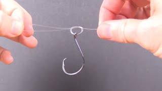 Palomar Knot  Quick Tutorial on How to Tie This Strong Knot [upl. by Flint700]