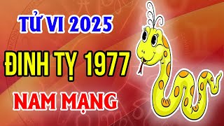 Xem Tử Vi Nam Mạng Tuổi Đinh Tỵ 1977 Năm 2025 Ất Tỵ [upl. by Adnaval]