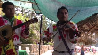 Musica tradicional en Nayarit [upl. by Bottali]