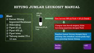 5 Hitung Leukosit Edukasi bagi ATLM Indonesia Analis Kesehatan [upl. by Artair]