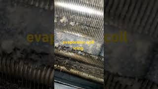 evaporator coil icing shortvideo [upl. by Saihttam9]