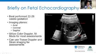 Joint Echo Conference Fetal Echocardiography [upl. by Assenev867]