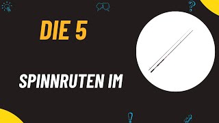 Die 5 Besten Spinnruten im Test 2024 [upl. by Gwenore]