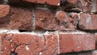 Lime Mortar Repointing The Basic Techniques for Restoring Historic Brick Homes [upl. by Guthry997]