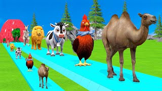 Paint amp Animals CowGorrilaElephantSheepDeerTiger Fountain Crossing Transformation Cartoon [upl. by Daraj125]