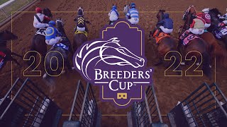 Breeders’ Cup 2022  Live 360° VR  Saturday Nov 5 [upl. by Ahsilla]