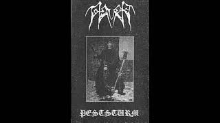 Totenreich  Peststurm Full Demo 1999 [upl. by Busey583]