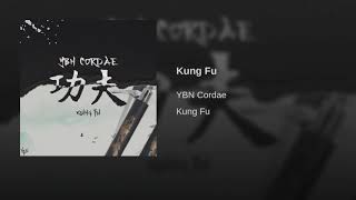 Kung Fu  YBN Cordae  Clean [upl. by Otrebile]