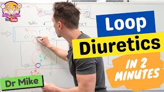 Loop Diuretics in 2 minutes [upl. by Araed862]