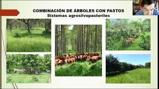 Análisis y Diseño de Sistemas Agroforestales y MIAF Orientaciones Técnicas y Metodológicas [upl. by Sitto]