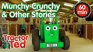 Munchy Crunchy amp Other Tractor Ted Stories 🚜  Tractor Ted Compilation  Tractor Ted Official [upl. by Ohare]