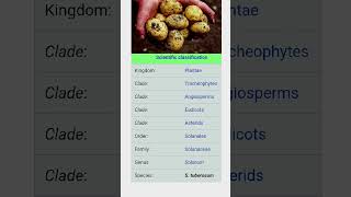 Potato ll आलू ll taxonomy ll nutrients science [upl. by Vevina464]