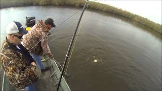 Sabine Lake Marsh winter redfish with Capt Robbie Trahan [upl. by Lund]