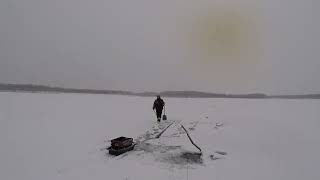 Herring fishing under the ice [upl. by Geesey]