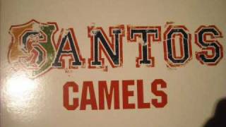 Santos camels DJ Zinc remix [upl. by Joye]