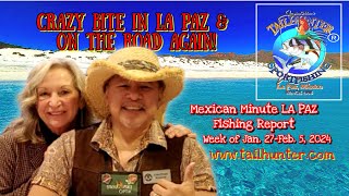 MEXICAN MINUTE LA PAZ FISHING REPORT from Tailhunter Sportfishing for Week of Jan 28 Feb 5 2024 [upl. by Eiznikam699]