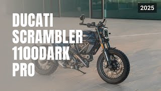 2025 New Ducati Scrambler 1100 Dark Pro Review [upl. by Riddle]