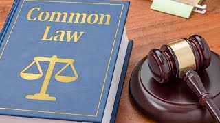 What is Common Law [upl. by Aicyla]