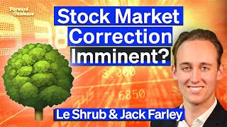 Overheated Stock Market To Selloff Before Continuing Rally Warns Market Veteran  Le Shrub [upl. by Atiniuq528]