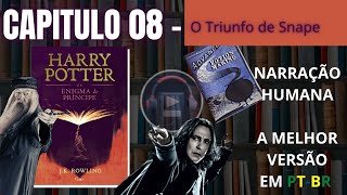 Harry Potter e o Enigma do Príncipe ⚡ CAPITULO 08 Audiolivro em PTBR [upl. by Domonic]