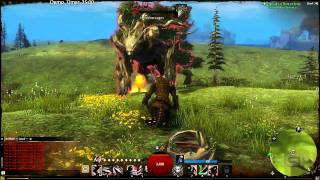 Guild Wars 2 Thief  Swords Gameplay [upl. by Godfree]