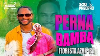 PARANGOLÉ  Perna Bamba Versão ao VIVO  em FLORESTA AZUL  BA  Música do Carnaval [upl. by Groos]