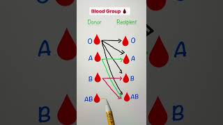 Whats Your Blood Group  Blood Group  Type of Blood Group  Blood Group Information [upl. by Iduj]