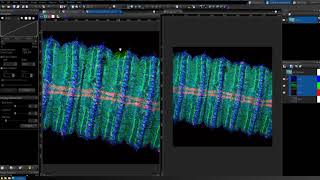 Confocal image vs Deconvolution how to save z projection image using CellSens D [upl. by Sibyl551]