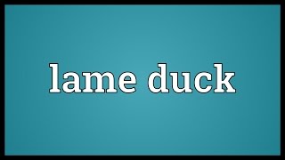 Lame duck Meaning [upl. by Weingartner]