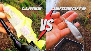 LURES VS DEADBAITS  What will win  Pike fishing [upl. by Anaiviv92]