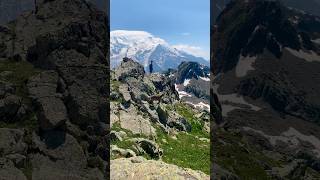 Chamois in Action Wildlife at Mont Blanc’s Hidden Gem 🏔️🐐 [upl. by Horatia]