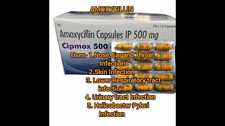 Amoxycillin Capsule penicillin Antibiotics use Side effectsshort videos [upl. by Erie]