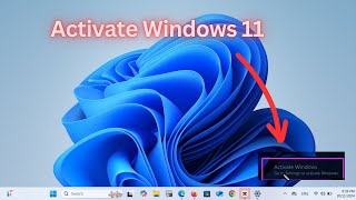 Activate Window 11 [upl. by Ahtekal384]