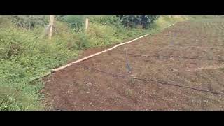 Agriculture Land For Sale in Chevella Rangareddy District 3 Lakhs Per Gunta [upl. by Gilmour]