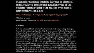 Clinical outcome of cats with suppurative otitis media and intact tympanum [upl. by Gibeon19]