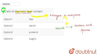 Cells of aleurone layer contain [upl. by Mercuri]