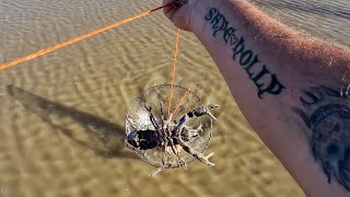 May Yabby Jackpot I Caught More Yabbies Than I Expected In May [upl. by Llenrap]