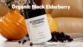 Black Elderberry Supplement Capsules  Vitamin C and Vitamin D3  Zinc  Codeage [upl. by Zamir330]