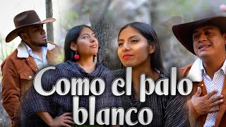 Como El Palo Blanco  Guitarras de la Sierra y Dueto Dos Rosas [upl. by Iramat]