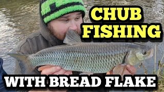 CHUB FISHING WITH BREAD FLAKE [upl. by Aitropal]