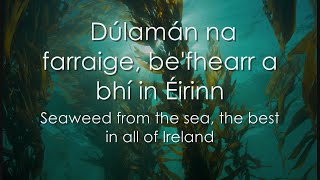 Dúlamán  LYRICS  Translation  Celtic Woman [upl. by Dewhurst]