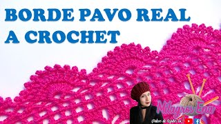 Borde N° 6 en punto arañitas tejido a crochet para aplicar en blusas boleros capas y mantitas [upl. by Lesley]