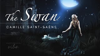 The Swan  SaintSaëns extended 1 hour [upl. by Noizneb]